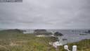 ./images/calvert/lookout/20260427/lookout20260427_104501M.jpg