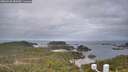 ./images/calvert/lookout/20260428/lookout20260428_082002M.jpg