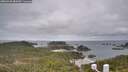 ./images/calvert/lookout/20260428/lookout20260428_084501M.jpg