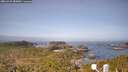 ./images/calvert/lookout/20260429/lookout20260429_083002M.jpg