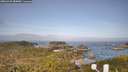 ./images/calvert/lookout/20260429/lookout20260429_084001M.jpg
