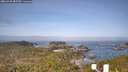 ./images/calvert/lookout/20260429/lookout20260429_085501M.jpg
