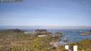 ./images/calvert/lookout/20260429/lookout20260429_091001M.jpg