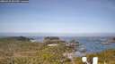 ./images/calvert/lookout/20260429/lookout20260429_091501M.jpg