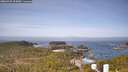 ./images/calvert/lookout/20260429/lookout20260429_095001M.jpg