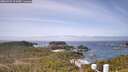 ./images/calvert/lookout/20260429/lookout20260429_111002M.jpg
