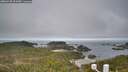 ./images/calvert/lookout/20260430/lookout20260430_091001M.jpg