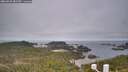 ./images/calvert/lookout/20260501/lookout20260501_082501M.jpg