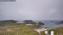 ./images/calvert/lookout/20260501/lookout20260501_095001M.jpg