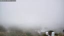 ./images/calvert/lookout/20260501/lookout20260501_155501M.jpg