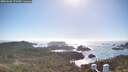 ./images/calvert/lookout/20260501/lookout20260501_172501M.jpg