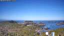 ./images/calvert/lookout/20260502/lookout20260502_082501M.jpg