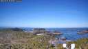 ./images/calvert/lookout/20260502/lookout20260502_084001M.jpg
