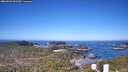 ./images/calvert/lookout/20260502/lookout20260502_092501M.jpg
