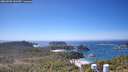 ./images/calvert/lookout/20260502/lookout20260502_132501M.jpg