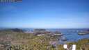 ./images/calvert/lookout/20260503/lookout20260503_082001M.jpg