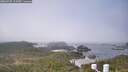 ./images/calvert/lookout/20260505/lookout20260505_113501M.jpg