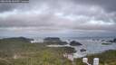 ./images/calvert/lookout/20260506/lookout20260506_062501M.jpg
