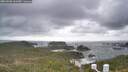 ./images/calvert/lookout/20260506/lookout20260506_162501M.jpg