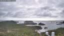 ./images/calvert/lookout/20260506/lookout20260506_174501M.jpg