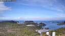 ./images/calvert/lookout/20260507/lookout20260507_110502M.jpg