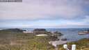 ./images/calvert/lookout/20260507/lookout20260507_113501M.jpg