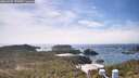 ./images/calvert/lookout/20260507/lookout20260507_145002M.jpg