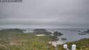 ./images/calvert/lookout/20260508/lookout20260508_081501M.jpg