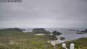 ./images/calvert/lookout/20260508/lookout20260508_101501M.jpg