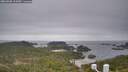 ./images/calvert/lookout/20260508/lookout20260508_103001M.jpg