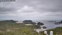 ./images/calvert/lookout/20260508/lookout20260508_123501M.jpg