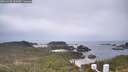 ./images/calvert/lookout/20260508/lookout20260508_135002M.jpg