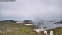 ./images/calvert/lookout/20260508/lookout20260508_142001M.jpg