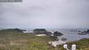 ./images/calvert/lookout/20260508/lookout20260508_144502M.jpg