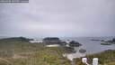 ./images/calvert/lookout/20260508/lookout20260508_145501M.jpg