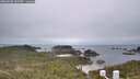 ./images/calvert/lookout/20260508/lookout20260508_152501M.jpg