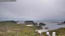 ./images/calvert/lookout/20260508/lookout20260508_155501M.jpg
