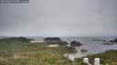 ./images/calvert/lookout/20260508/lookout20260508_171001M.jpg