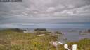 ./images/calvert/lookout/20260509/lookout20260509_081001M.jpg