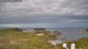 ./images/calvert/lookout/20260509/lookout20260509_082002M.jpg