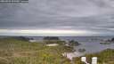 ./images/calvert/lookout/20260509/lookout20260509_095501M.jpg