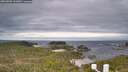 ./images/calvert/lookout/20260509/lookout20260509_101002M.jpg