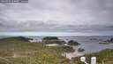 ./images/calvert/lookout/20260509/lookout20260509_104001M.jpg