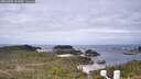 ./images/calvert/lookout/20260509/lookout20260509_113001M.jpg