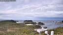 ./images/calvert/lookout/20260509/lookout20260509_121502M.jpg