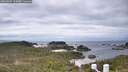 ./images/calvert/lookout/20260509/lookout20260509_124502M.jpg