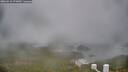 ./images/calvert/lookout/20260510/lookout20260510_073002M.jpg