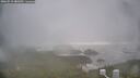 ./images/calvert/lookout/20260510/lookout20260510_080501M.jpg
