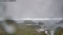 ./images/calvert/lookout/20260510/lookout20260510_082001M.jpg