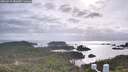 ./images/calvert/lookout/20260510/lookout20260510_181001M.jpg